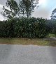 Negocio Hidden Pines Assisted Living