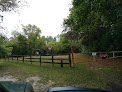 Negocio Homosassa Wildlife Management Area