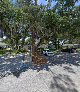 Negocio New Smyrna Beach Housing Authority