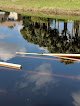 Negocio Wellesley At Lake Clarke Shores