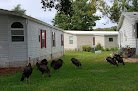 Negocio Windward Village Community