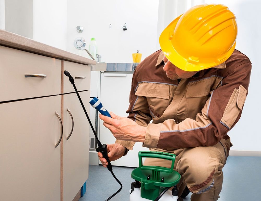 Como iniciar un negocio fumigaciones y control plagas