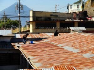 Prevenir el Moho de su Techo y las Alergias que la ocasionan