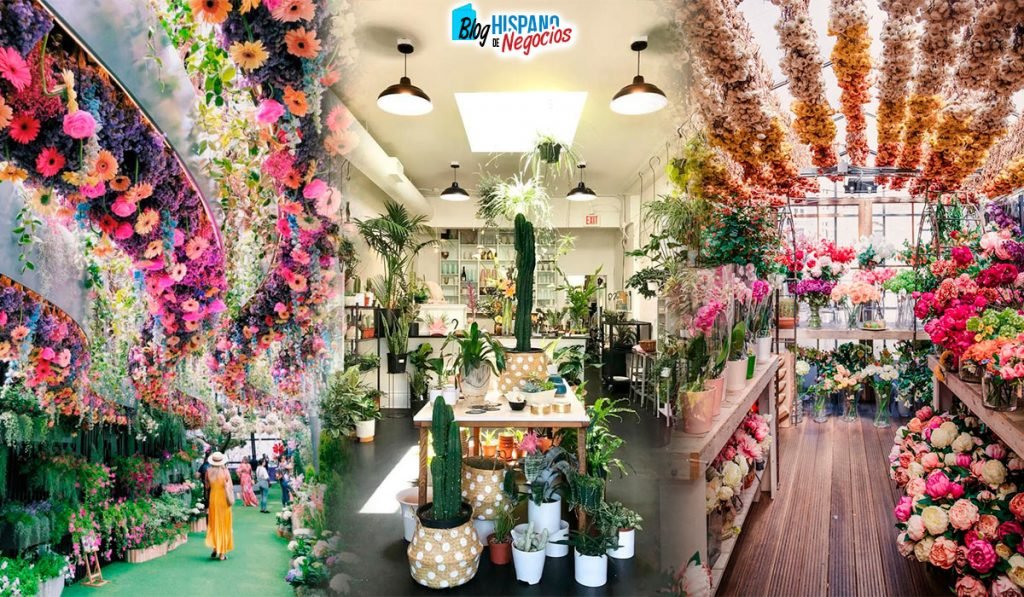 Tienda de plantas o viveros cerca de mí